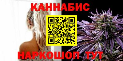 стаф Пенза