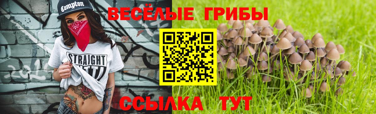 Псилоцибиновые грибы MAGIC MUSHROOMS  Вход с VPN  Советский  Псилоцибиновые грибы Psilocybine cubensis 